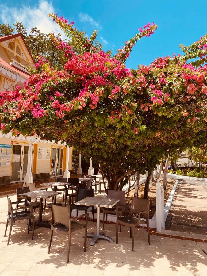 Tucum Home - Appart Au Village Vacances Sainte Anne 外观 照片