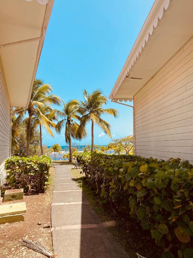 Tucum Home - Appart Au Village Vacances Sainte Anne 外观 照片